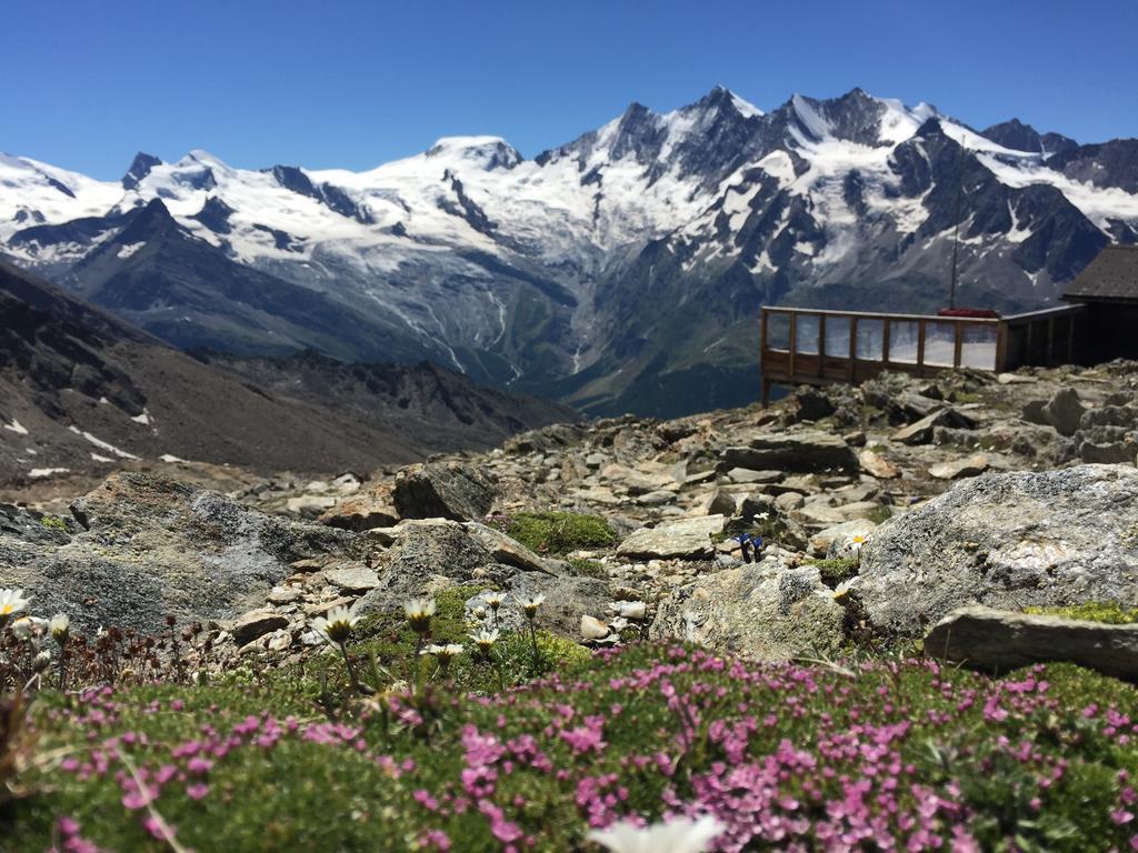 Chalet Alpentraum, Alte Gasse 20 ซาส-กรุนด์ ภายนอก รูปภาพ